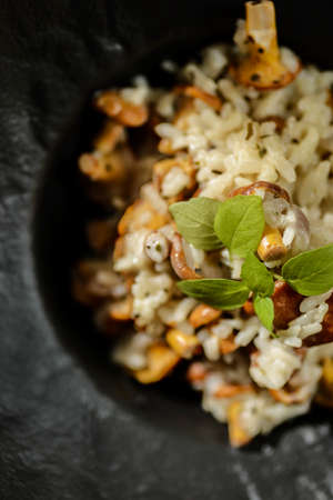 chanterelle risotto in a black plate. high quality photoの写真素材