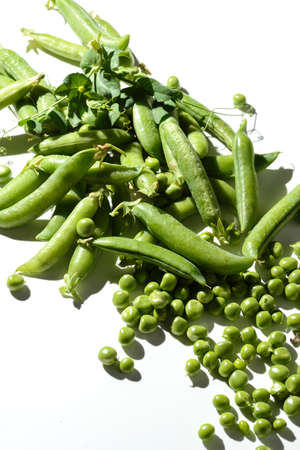 green peas and pods on a white backgroundの写真素材