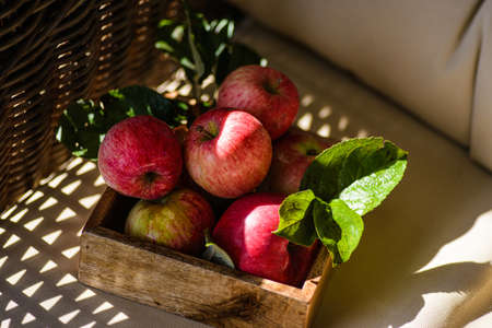 rustic apples from the garden with leavesの写真素材