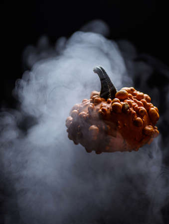 orange pumpkin floating in smoke. high quality photoの写真素材