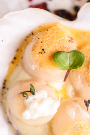 scallop on a white plateの写真素材