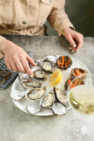 assorted oysters and sea urchinsの写真素材