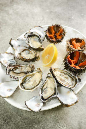 assorted oysters and sea urchinsの写真素材