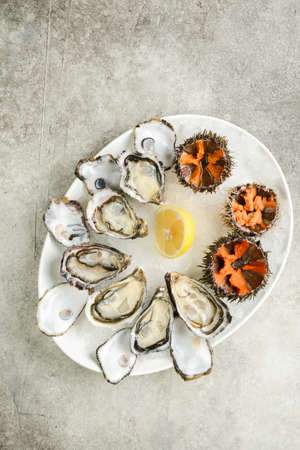 assorted oysters and sea urchinsの写真素材