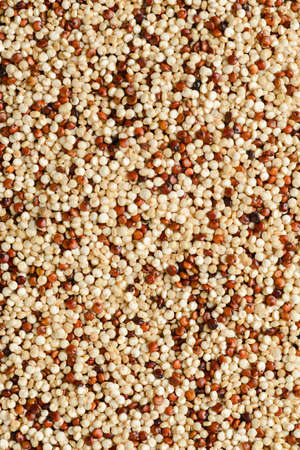 quinoa macro food background white and brownの写真素材