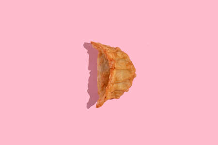 deep-fried gyoza with vegetables. high quality photoの写真素材