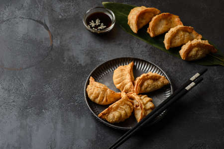gyoza on a black background on a plate. high quality photoの写真素材