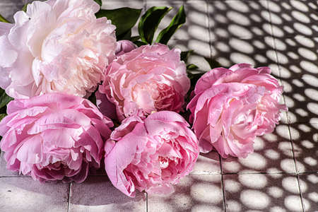 bouquet of peonies on a gray background. high quality photoの写真素材
