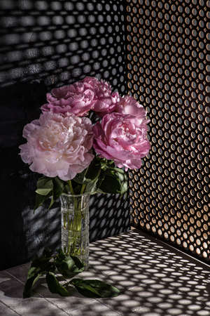 peonies in a vase on a dark background. high quality photoの写真素材