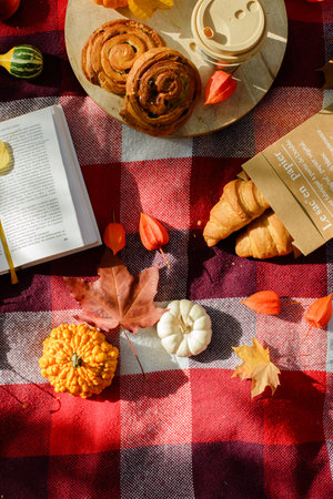 picnic in the autumn forestの写真素材