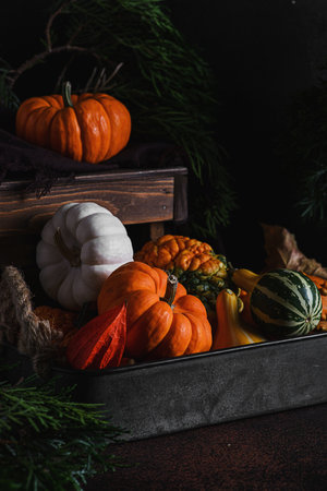 pumpkins still life on a dark background. High quality photoの写真素材