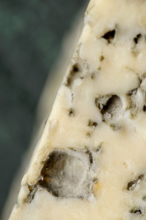 cheese with blue mold. High quality photoの写真素材