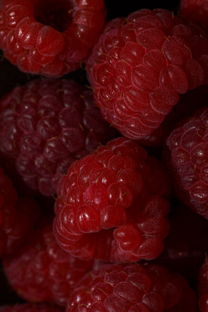 raspberries. High quality photoの写真素材