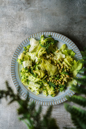 green salad with iceberg and broccoli. High quality photoの写真素材