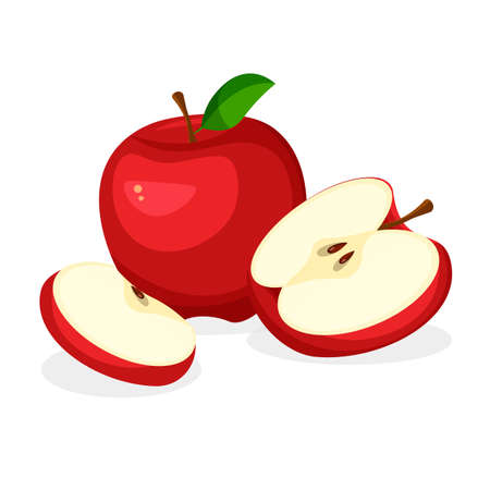 Fresh whole, half, cut slice and piece of red apple isolated on white background. Vegan food vector icons in a trendy cartoon style. Healthy concept.のイラスト素材