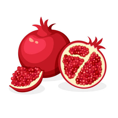 Fresh whole, half, cut slice and piece of pomegranate isolated on white background. Vegan food vector icon in a trendy cartoon style. Healthy concept.のイラスト素材