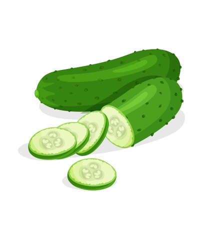 Fresh whole, half, cut slice and piece of cucumber isolated on white background. Vegan food vector vegetable icons in a trendy cartoon style. Healthy food conceptのイラスト素材