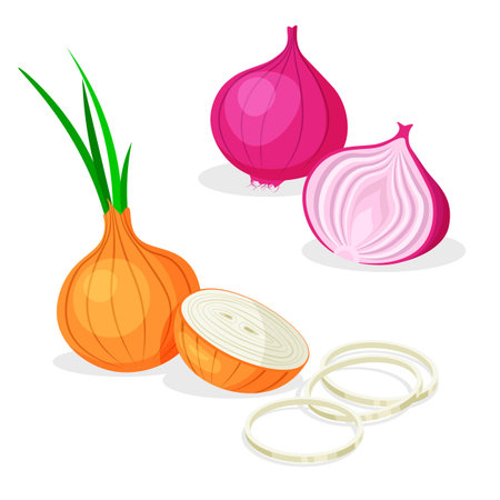 Set of whole, half, cut slice, rings and piece of onion isolated on white background. Red and white onions. Vegan food vector vegetable icons in a trendy cartoon style. Healthy food concept.のイラスト素材
