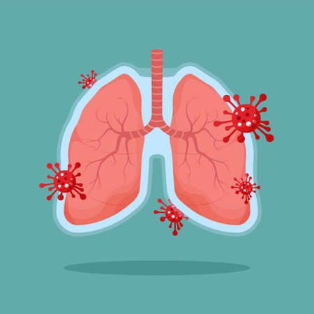 Healthy lungs human internal organ. Virus protection. Shield concept. Respiratory system icon. Anatomy, medicine concept. Healthcare. Vector illustration isolated on blue background.のイラスト素材