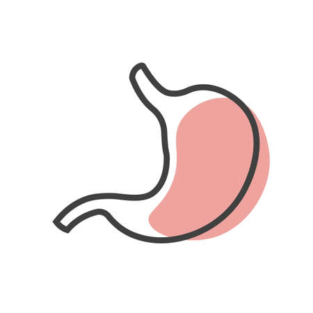 Human stomach linear icon. Nutrition, stomach pain, bloating. Digestive system anatomy. Vector illustration isolated on white background.のイラスト素材