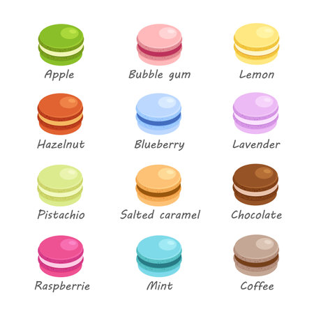 Different flavors and colors of macarons. Traditional french almond cookies in trendy flat style. Vector illustration isolated on white background.のイラスト素材