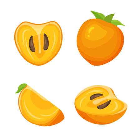 Set of fresh whole, half, cut slice of persimmon. Vegan food vector icons in a trendy cartoon style.のイラスト素材