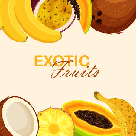 Exotic fruit frame isolated. Summer banner template. vector illustration.のイラスト素材