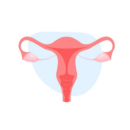 female reproductive system. Uterus in trendy flat style. human internal organs. Cervix, ovary, fallopian tube icon. vector illustration.のイラスト素材