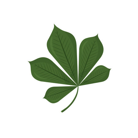 Chestnut leaves in a trendy flat style. Vector illustration isolated on white background.のイラスト素材