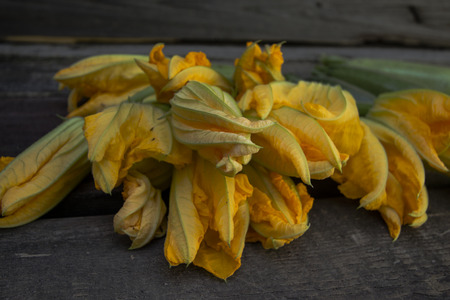 Flowers of zucchiniの写真素材