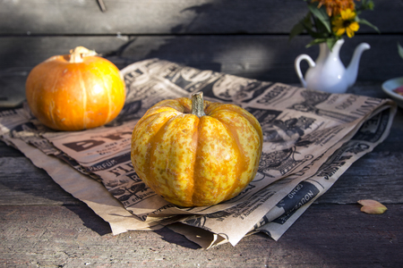 Ripe orange pumpkinsの写真素材