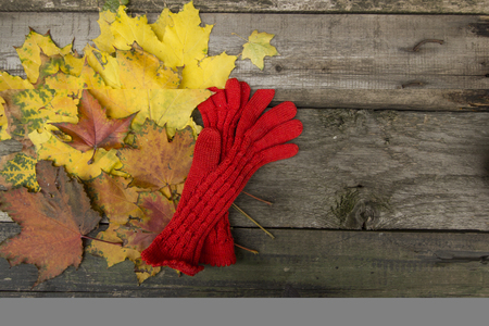 autumnの写真素材