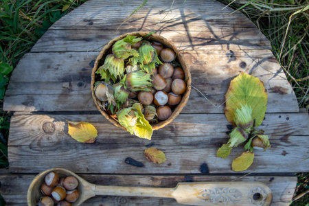 hazelnuts in a wooden spoon and bowl