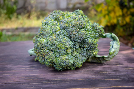 juicy broccoli on a wooden board