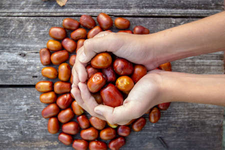 fresh jojoba fruit on a wooden tableの写真素材