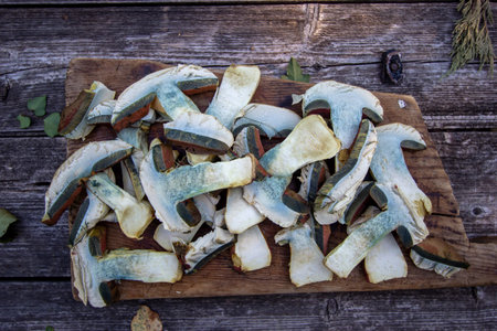 preparation of fresh mushrooms for drying