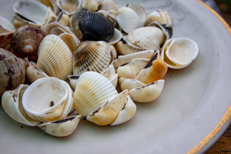seashells on a white plate