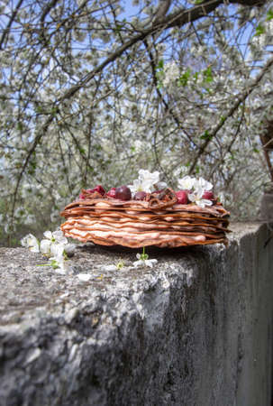 Cherry blossom in spring time with fruits on the stone wallの写真素材