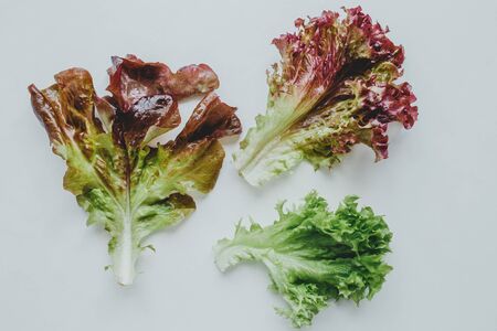a fresh green organic lettuce leaf lies on a white background. the concept of healthy eating. the view from the topの写真素材