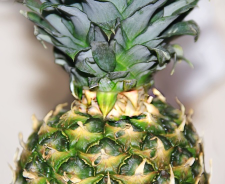 Image of big appetizing colorful pineapple backgroundの写真素材