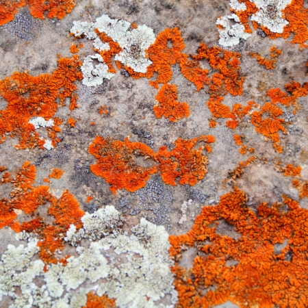 Image of texture with colorful mineralの写真素材