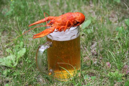 Red crawfish with beer on green grass