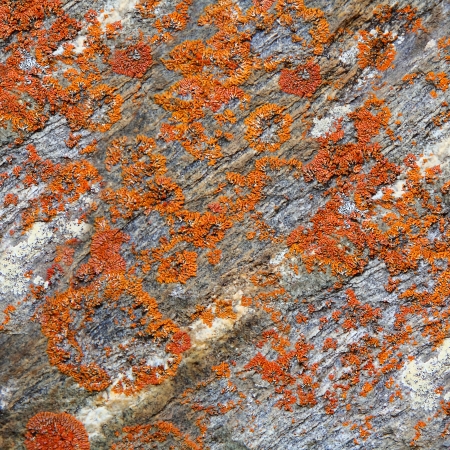 Image of colorful roughness gritty textureの写真素材