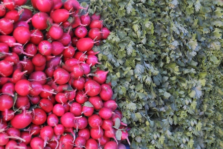 Image of background fresh radish and foliageの写真素材