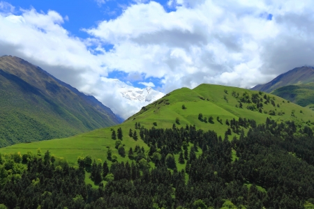 Summer beautiful landscape with Caucasus green mountainsの写真素材