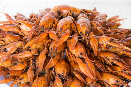 Photo of red boiled crawfishes on the dishの写真素材