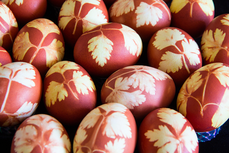 Photo of Easter eggs on black backgroundの写真素材