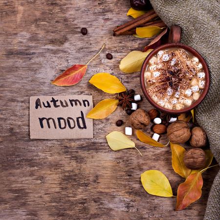 Hot cocoa with marshmallows with spices on the old wooden boards. Coffee, cocoa, cinnamon, nuts, star anise, cozy sweater. A woman's hand holds a cup.
Autumn Still Lifeの写真素材