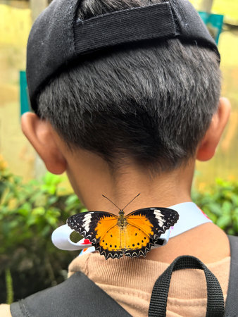 A beautiful butterfly rests on a young boy's neck, a magical moment of nature's connection. Child and wildlife, hope, and discovery. Summer outdoor innocence.の写真素材