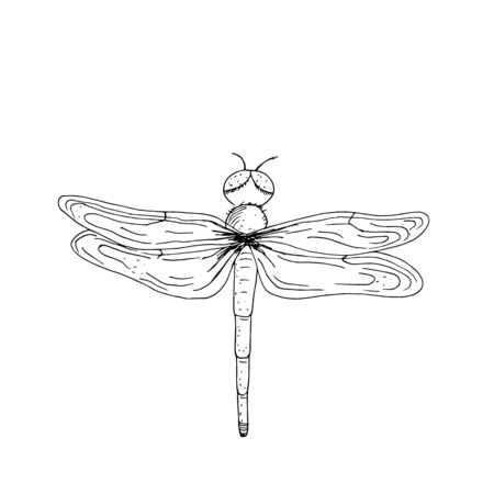 Isolated dragonfly. Black outline. Hand-drawn coloring book for adults and children. Japanese style. Design of t-shirts, postcards, flyers, brochures. Vector illustration.のイラスト素材